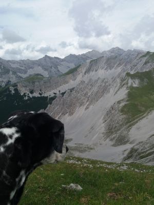 LUSCHA-AlexBodea-Innsbruck-2017.jpg