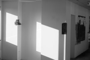 Exh2-EmanuelBorcescu.jpg